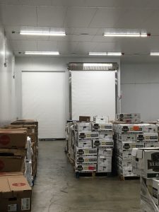IMG 4466