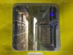 viewing window